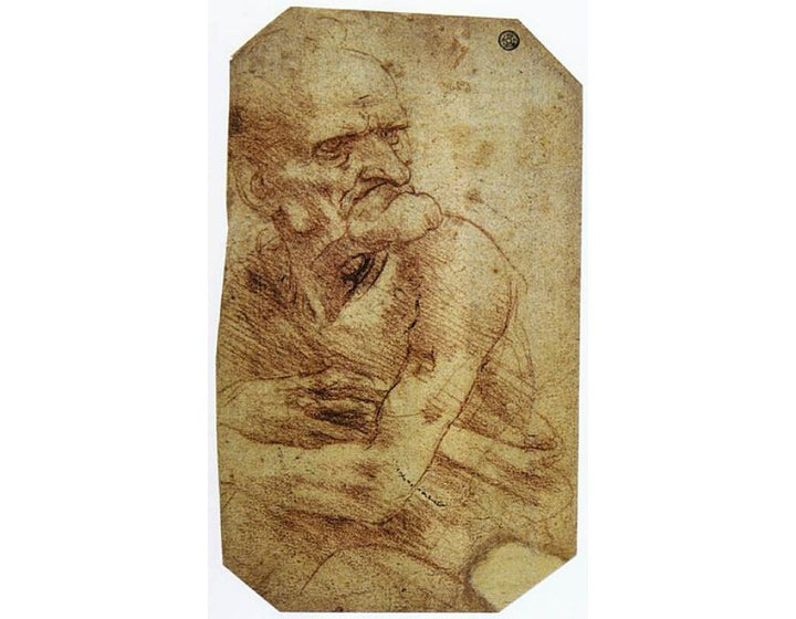 Study of an Old Man 