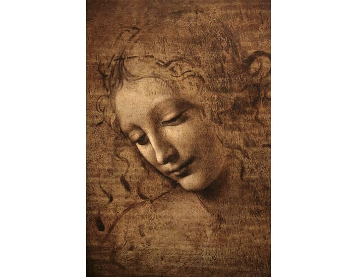 Head of a Young Woman with Tousled Hair (Leda) 