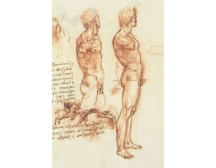 The anatomy of a male nude and a battle scene 