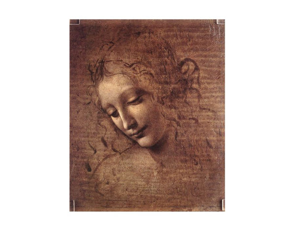 Female head (The Lady of the Dishevelled Hair) (or La Scapigliata)
