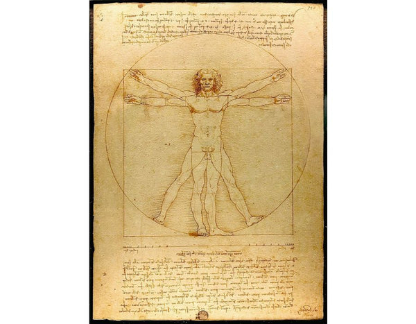 Vitruvian Man 