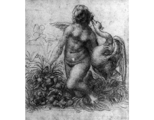 Leda and the Swan 1503-07 