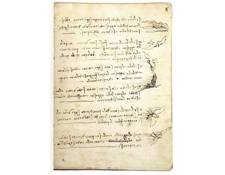 Codex On The Flight Of Birds 