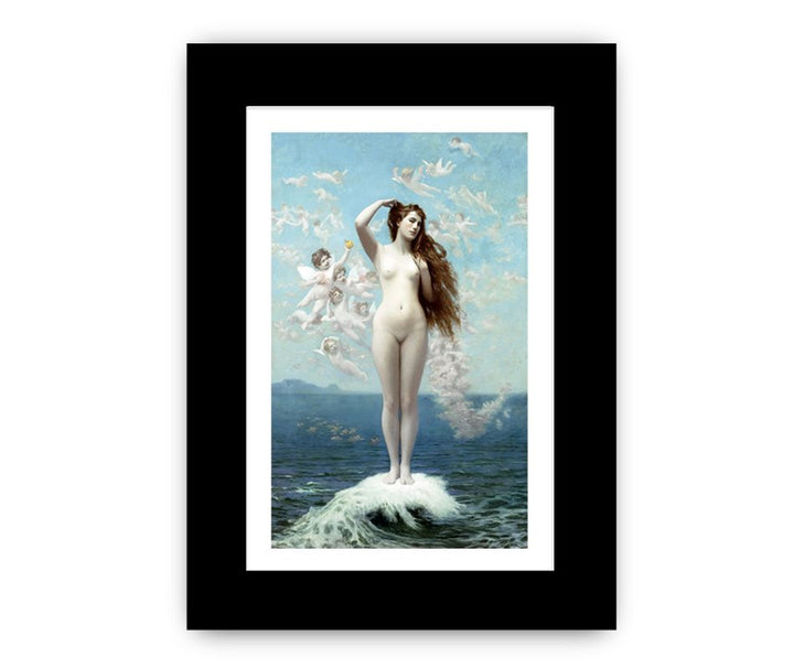 Venus Rising