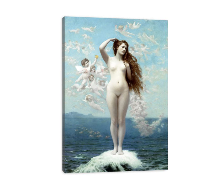 Venus Rising