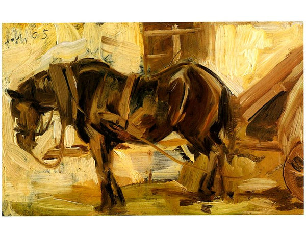 Small Horse Study 