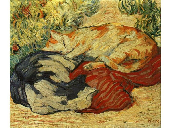 Cats 