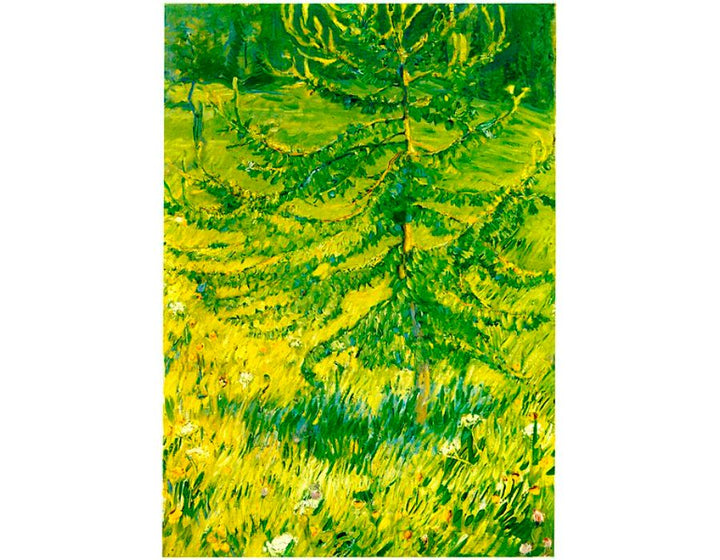 Larch Sapling 