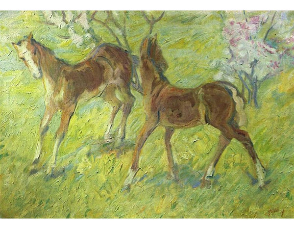 Jumping Foal 