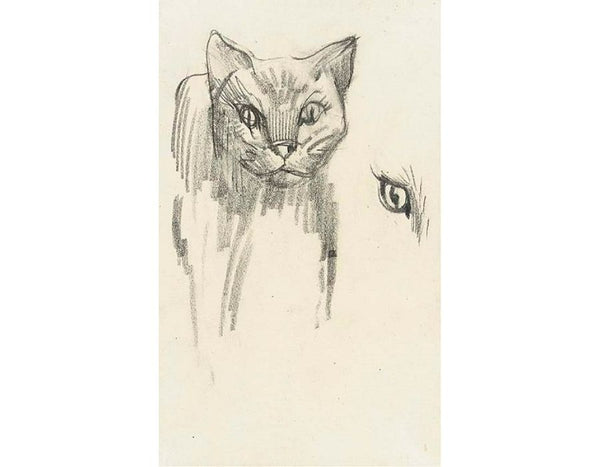 Katze 