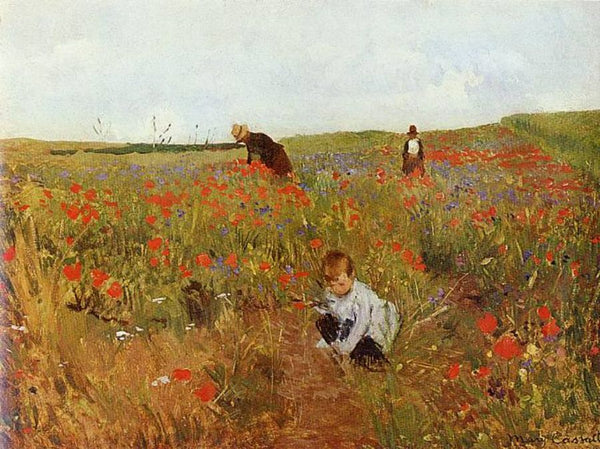 les coquelicots 