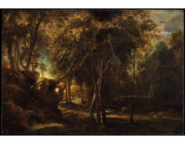 Forest Landscape at the Sunrise 
