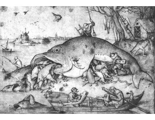Big Fishes Eat Little Fishes