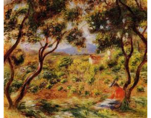 The Vineyards Of Cagnes
