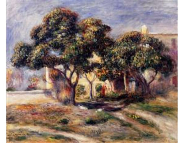 Medlar Trees, Cagnes 