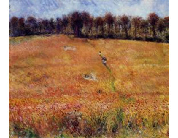 Path Through The High Grass 