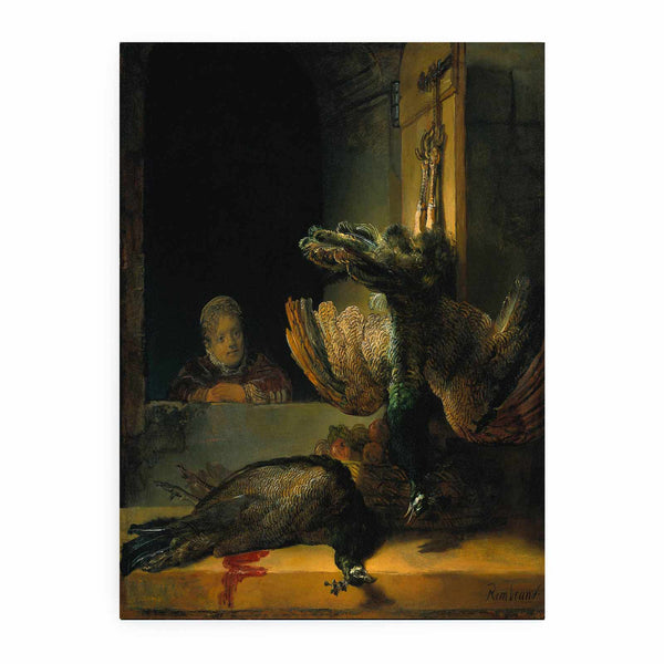 Dead peacocks Painting