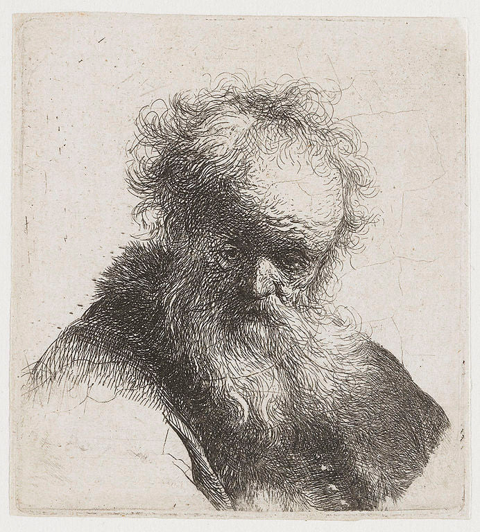 Bust Of An Old Man With Flowing Beard And White Sleeve 