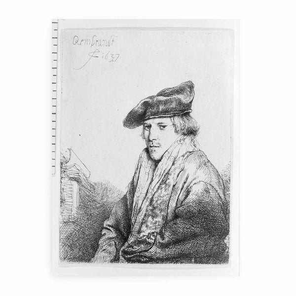 A Young Man in a Velvet Cap (Ferdinand Bol)
 Painting