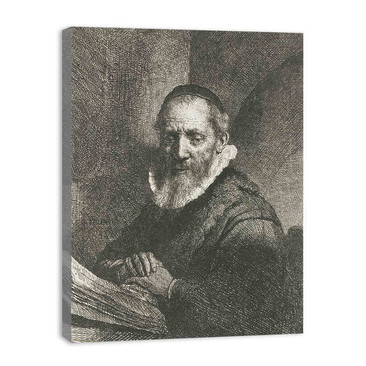 Jan Cornelis Sylvius, Preacher Painting