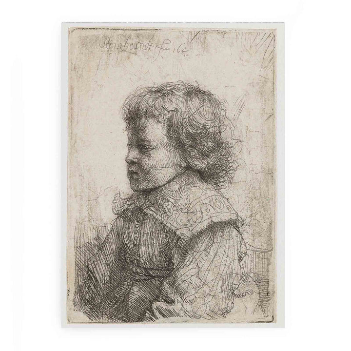 Portrait of a Boy, in Profile
 Painting