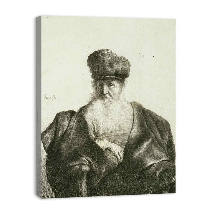 An old Man with Beard, Fur Cap, and Velvet Coat Painting