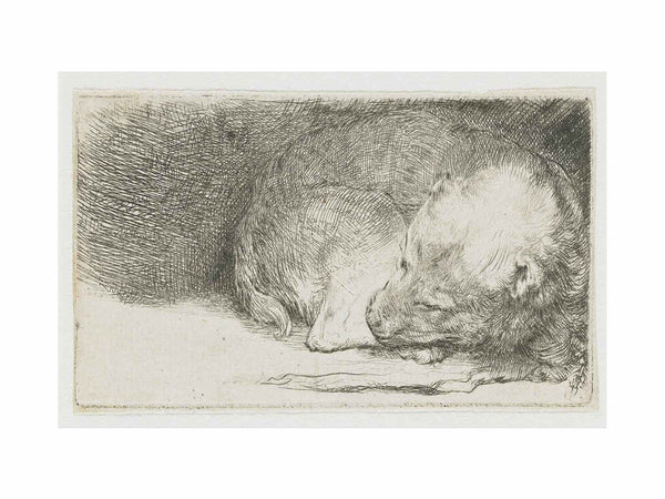 A sleeping Puppy Painting