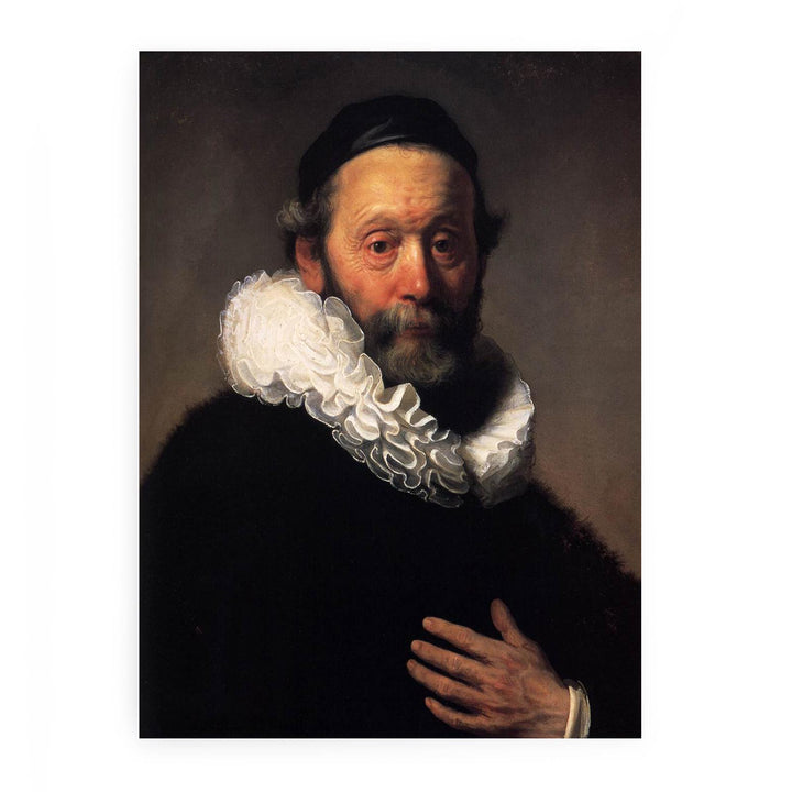 Portrait of Johannes Wtenbogaert (detail)
 Painting