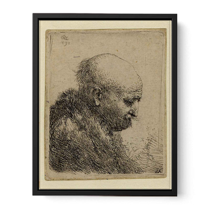 A bald-headed Man in Profile right Painting