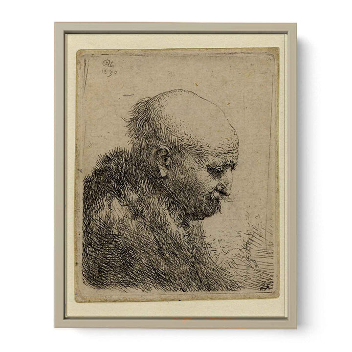 A bald-headed Man in Profile right Painting