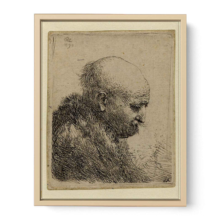 A bald-headed Man in Profile right Painting