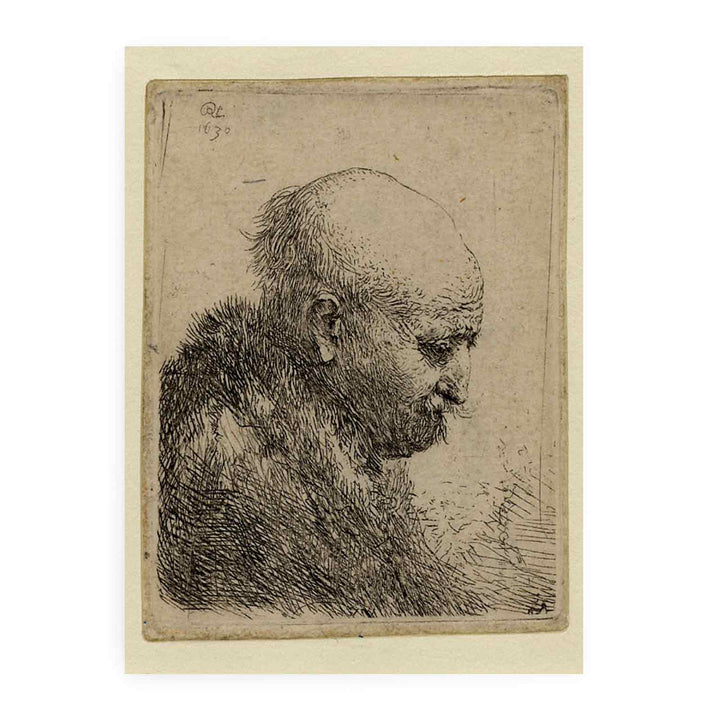 A bald-headed Man in Profile right Painting