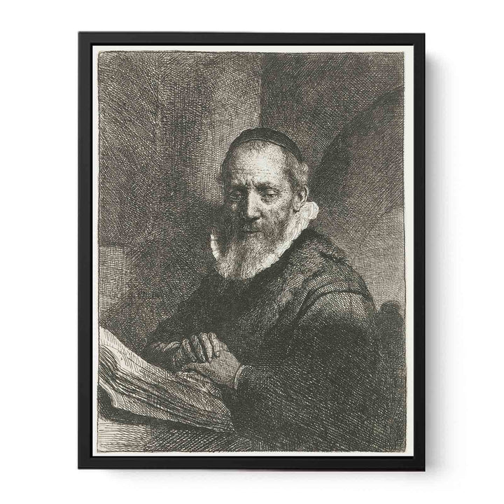 Jan Cornelius Sylvius, Preacher Painting