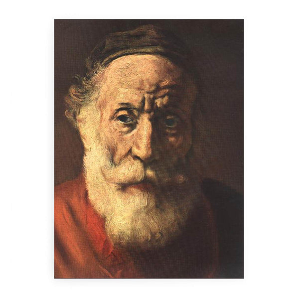 Portrait of an Old Man in Red (detail -1) 1652-54
 Painting