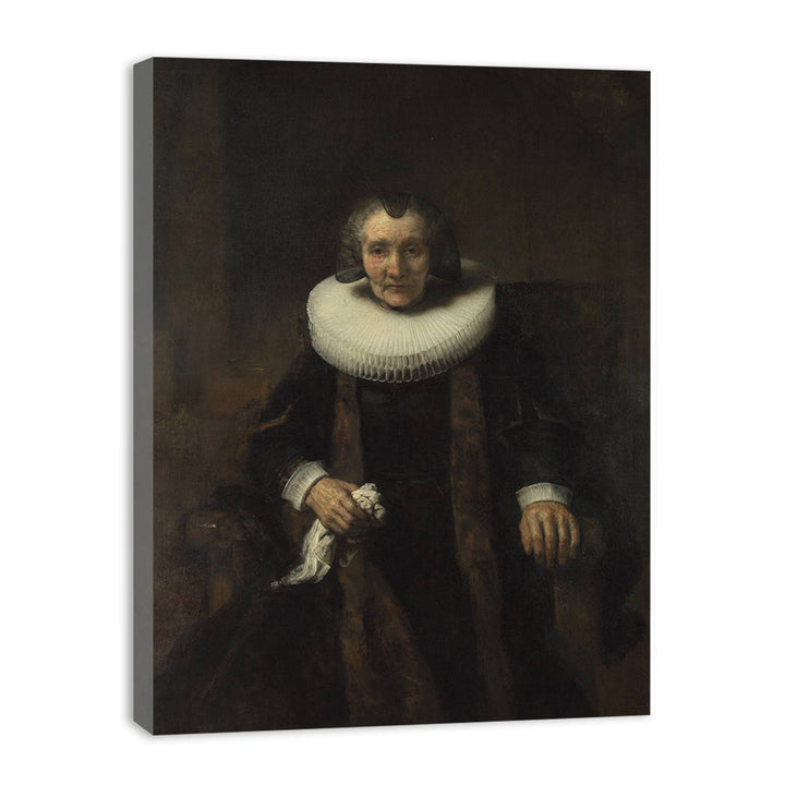 Portrait of Marguerite de Geer, Wife of Jacob Trip
 Painting