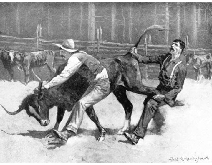 Cowboys wrestling a bull 