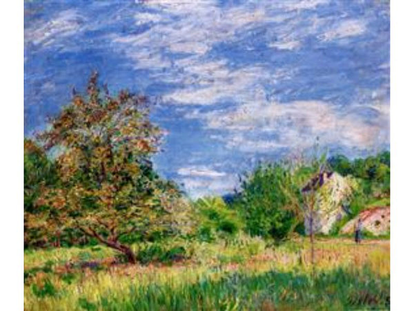 Orchard in Spring I
