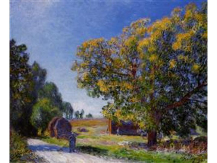 Fields around the Forest