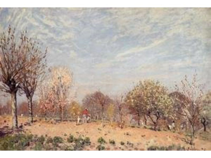 Apple Trees in Flower, Spring Morning