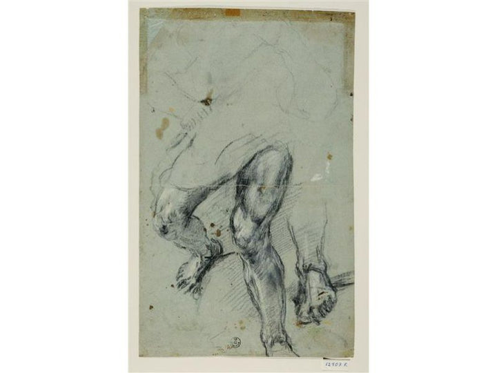 Study of legs
