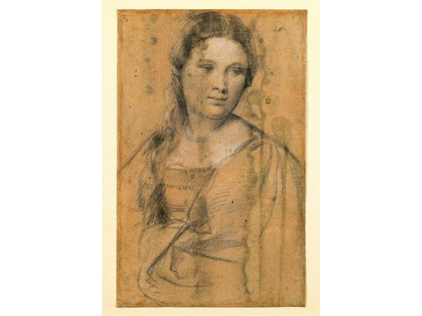 Portrait of a Young Woman (draw)