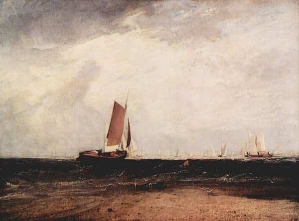 Fish at the Blythe sand 