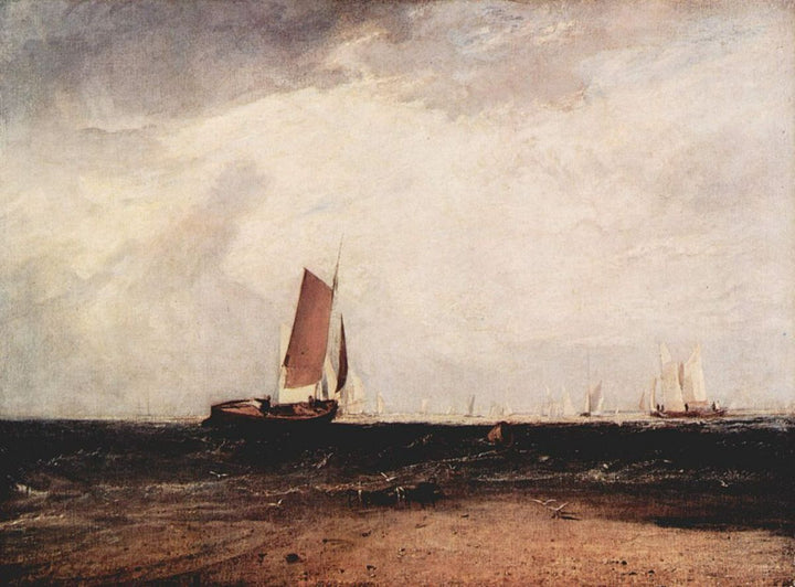 Fish at the Blythe sand 