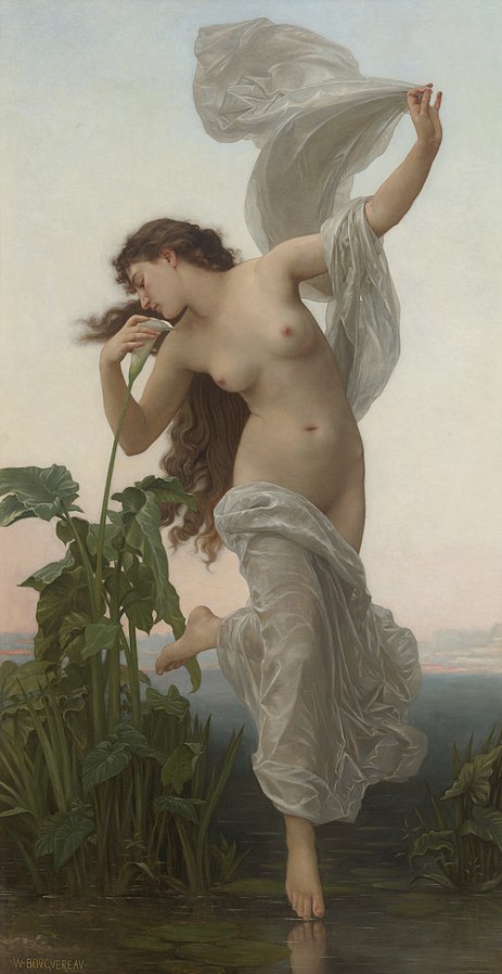 L Aurore
