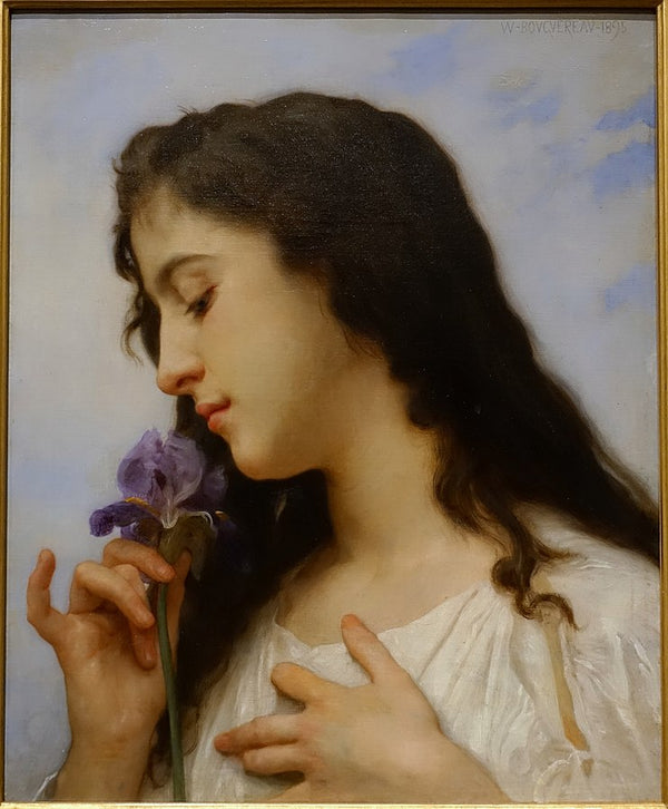The Iris