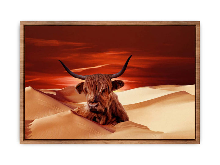 Higland Cow In Desert 