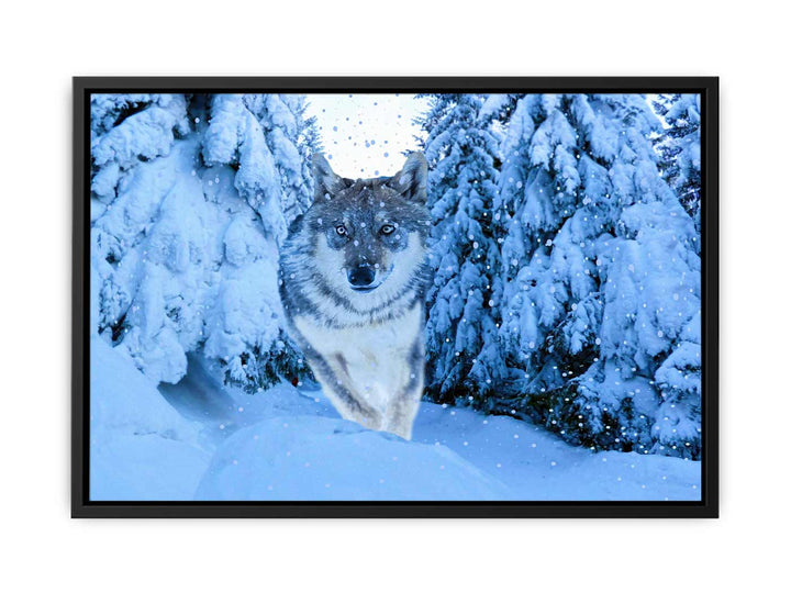 White Wolf Painting 