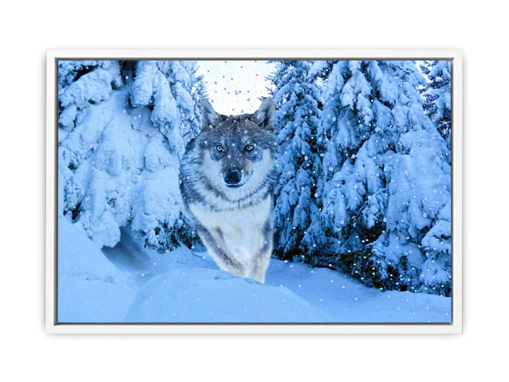 White Wolf Painting 