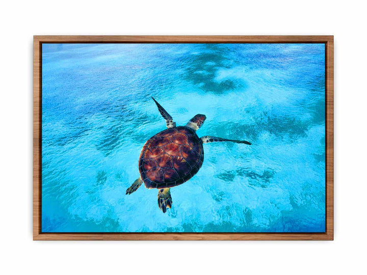 Sea Turtle Painting 