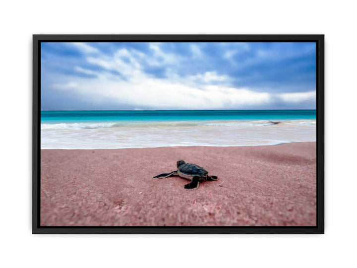 Turtle on Beach  Painting 